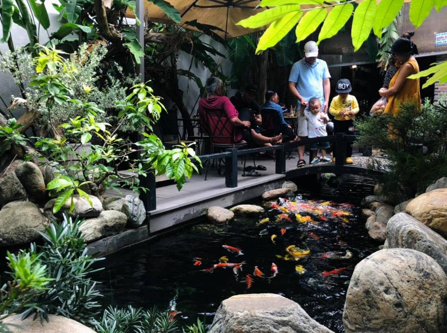 Vườn Xưa – KOI cafe