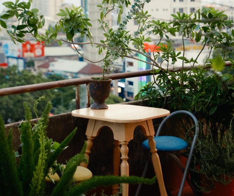 Góc nhỏ yên bình tại quán cà phê Mơ đi Hội