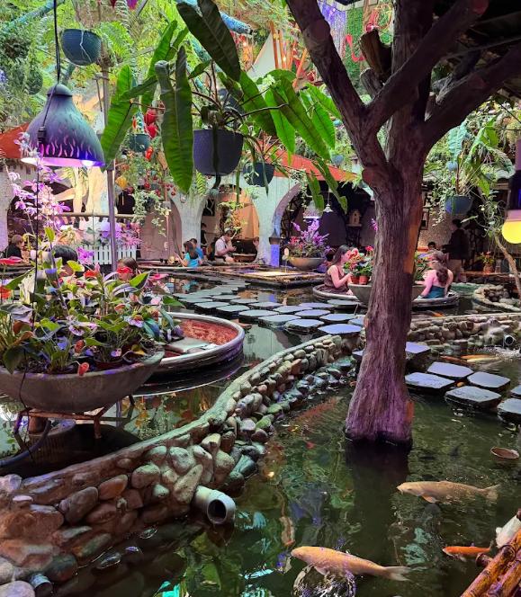 Oasis Cafe Phú Nhuận cực chill