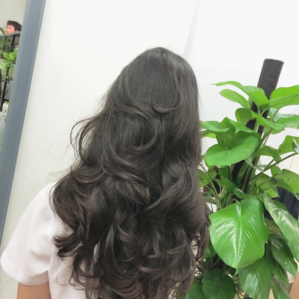 Ảnh sưu tầm: Venice Salon - Quận Tân Phú